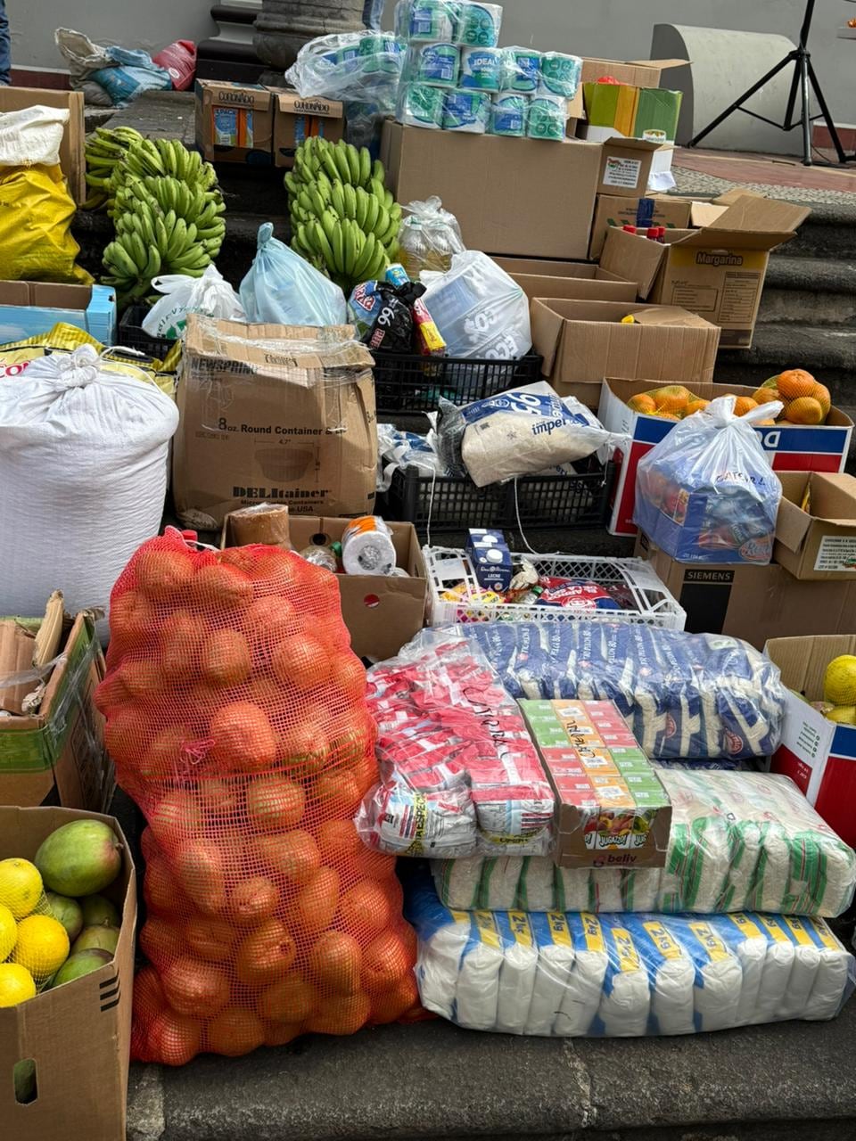 Diversos productos recolectados del huerto de San José