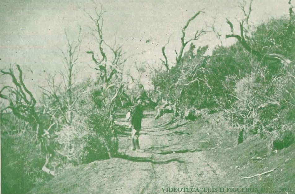 Terremoto de Patillos, en Coronado, San José el 30 de diciembre de 1952. Foto: Tomada de Senderismo Cartago CR