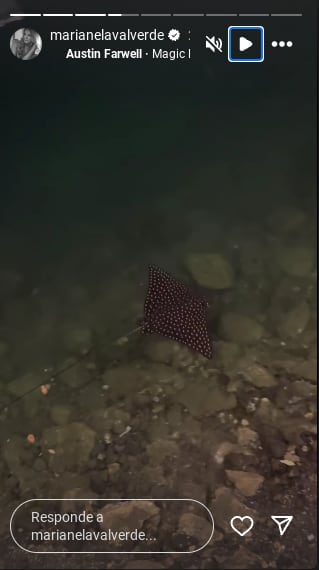 Marianela Valverde compartió con sus seguidores la belleza acuática que pudo explorar.