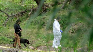 Macabro hallazgo: encuentran cadáver con tiro en la cabeza