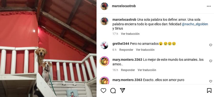 Marcelo Castro
Johnny López