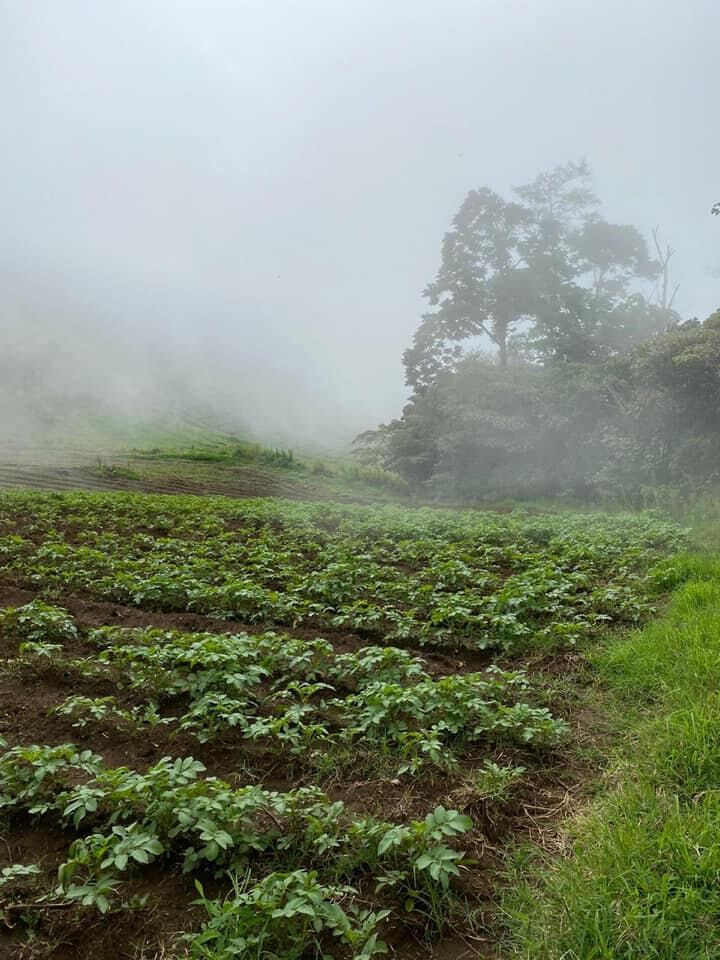 “Todos los días no bañamos con agua contaminada”, aseguran vecinos de Cartago