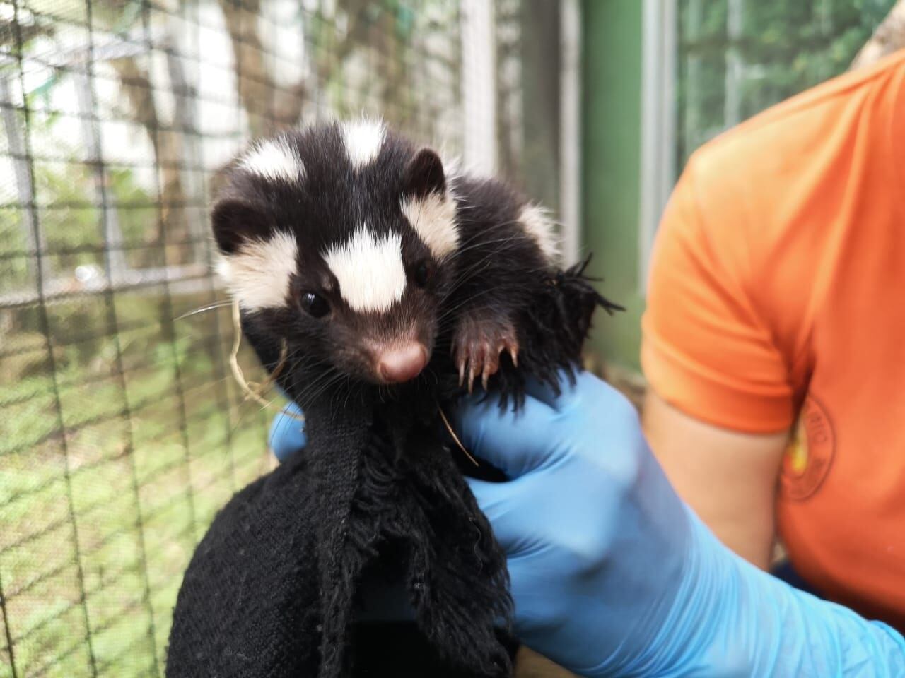 Día de las madres, Aleida Méndez, cuidadora del ZooAve
