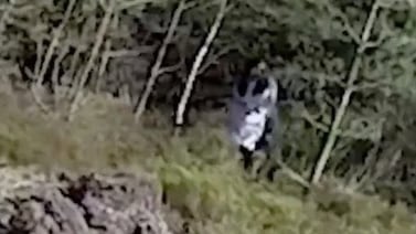 Terror en el bosque: Creen haber filmado al fantasma de “la niña de ojos negros”