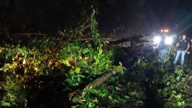 De nuevo cierran paso por ruta 32 debido a un deslizamiento