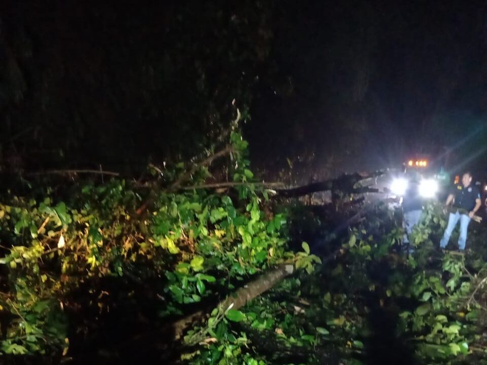 El deslizamiento ocurrió en el kilómetro 50 de la ruta 32. Foto Mopt.