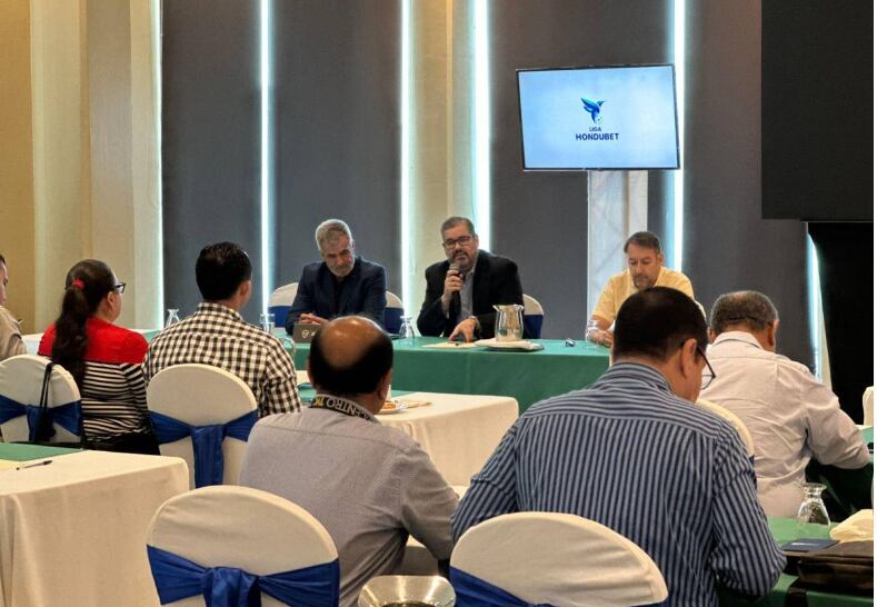 Horacio Elizondo, comisión de arbitraje, fedefutbol