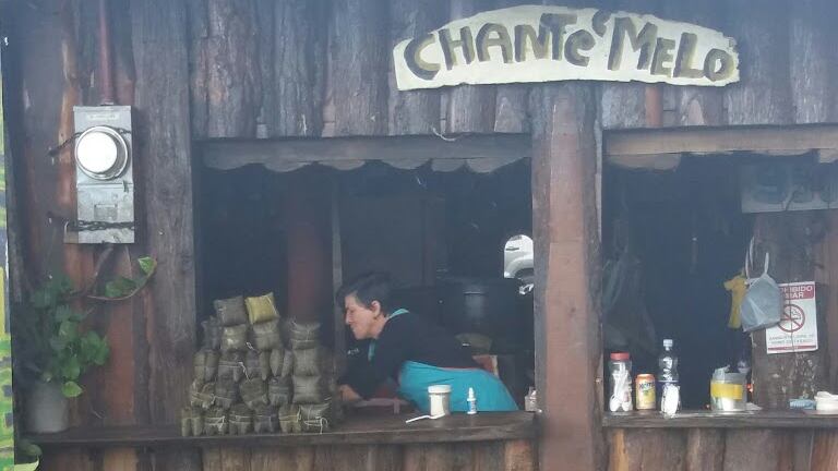 Carmen Castro, de 60 años, fue hallada sin vida tras un incendio que consumió al menos tres casas en Desamparados, San José. Foto: La Teja