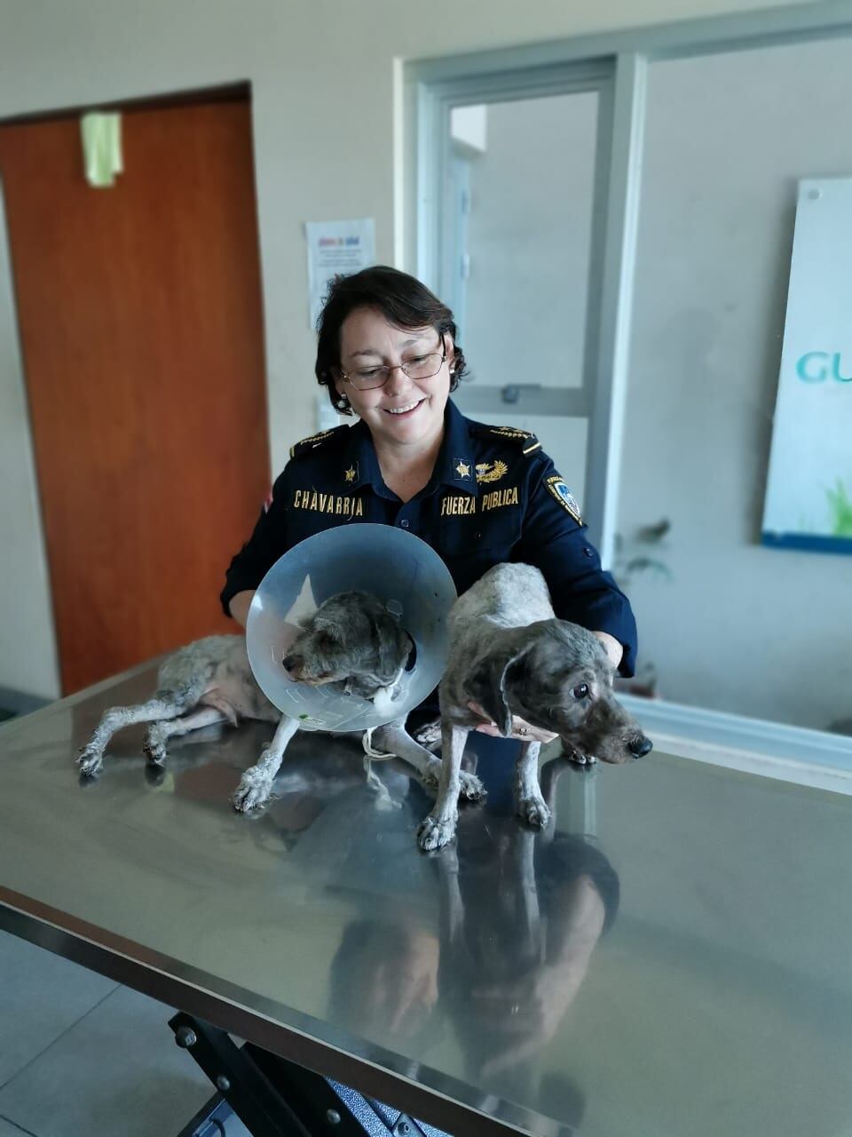 Perritas "policías" salvaron la vida de dos peluditos abandonados. Foto cortesía Kathya Chavarría.