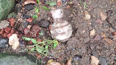 Alarma en residencial de Cartago: vecinos alertan por artefacto explosivo en jardín de una casa