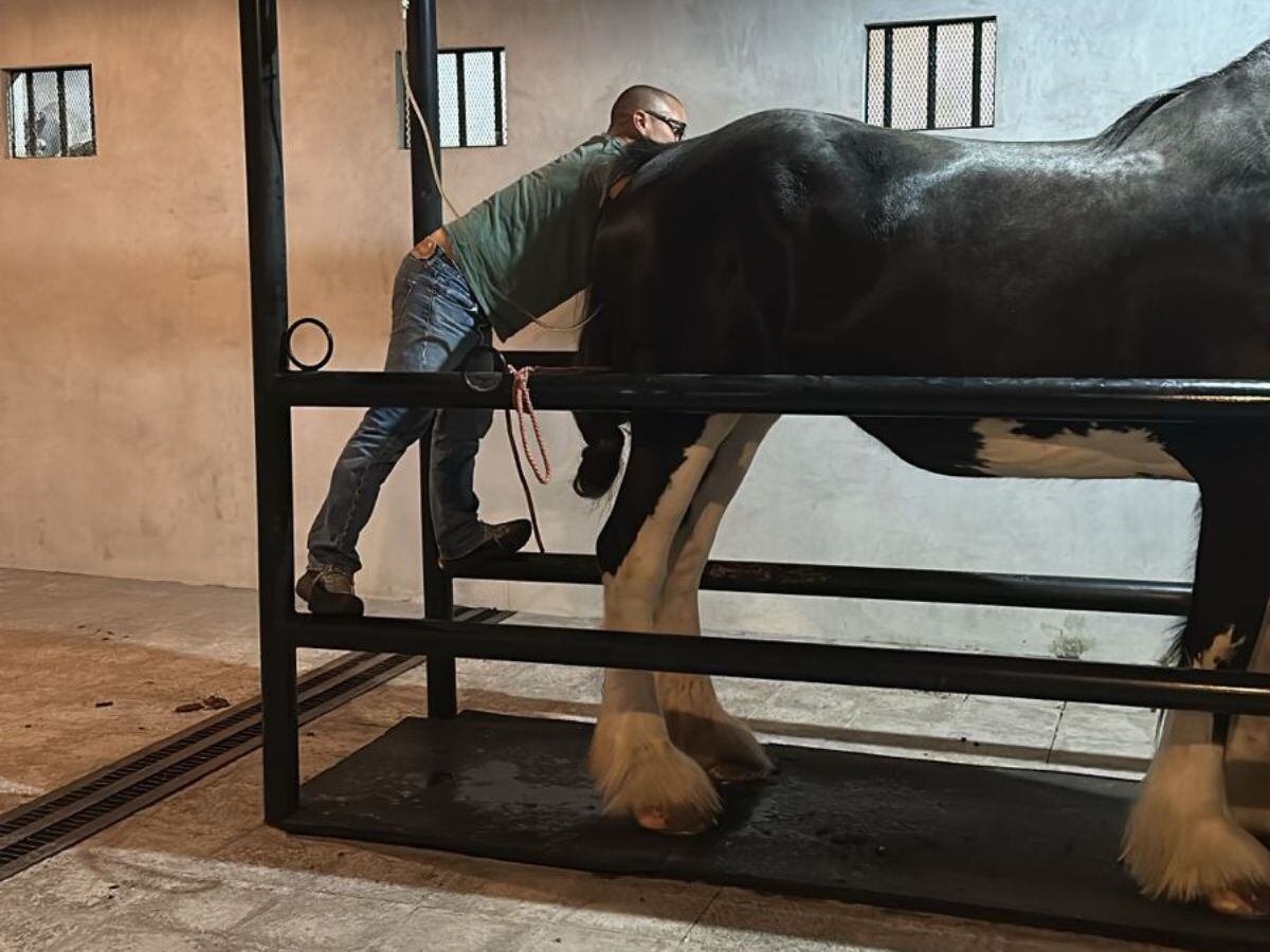 El parto de Mariana, su madre, se llevó a cabo con completa normalidad. Foto: Cortesía Gustavo Chaves.