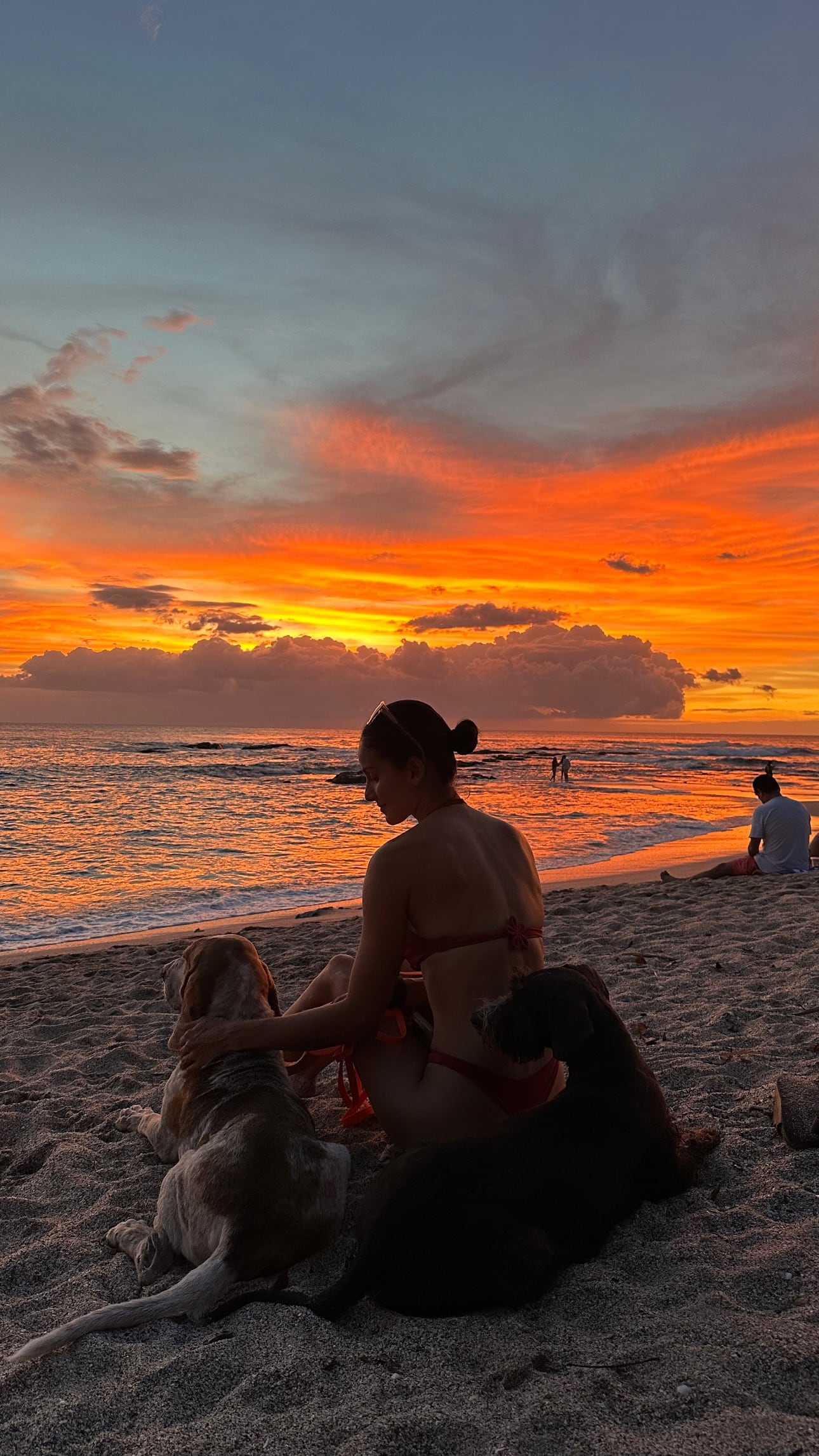 Johanna Solano mostró su impactante recuperación del accidente que sufrió en Sudáfrica hace un mes y robó gran cantidad de miradas al dejar ver lo bien que está.