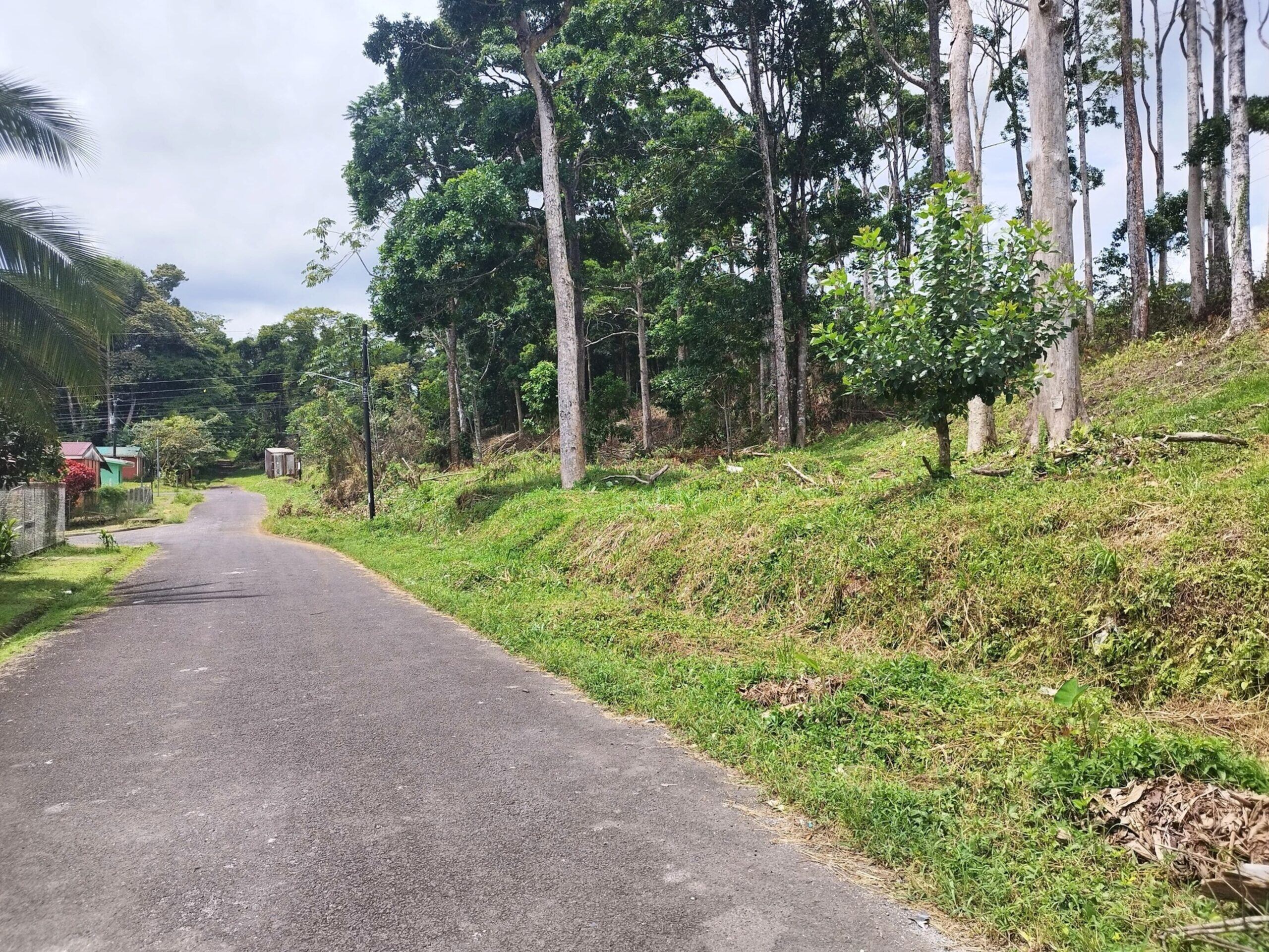 Coopealianza está ofreciendo varias fincas y lotes a buenos precios, para aquellas personas que están en busca de un hogar.