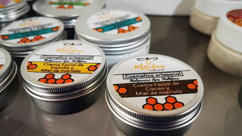 En Pérez Zeledón se da uno de los proyectos más ambiciosos en “meliponicultura” por parte del Instituto de Desarrollo Rural (Inder), y que apoya a la Asociación de Mujeres Meliponicultoras de Pérez Zeledón, con el fin de mejorar el manejo de las abejas y aumentar la producción