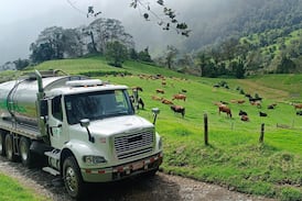 Dos Pinos está contratando choferes técnicos: vea dónde hay plazas y cómo aplicar