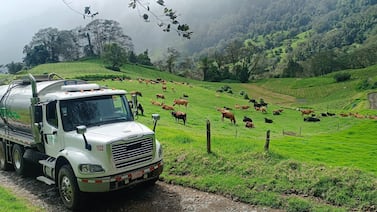 Dos Pinos está contratando choferes técnicos: vea dónde hay plazas y cómo aplicar
