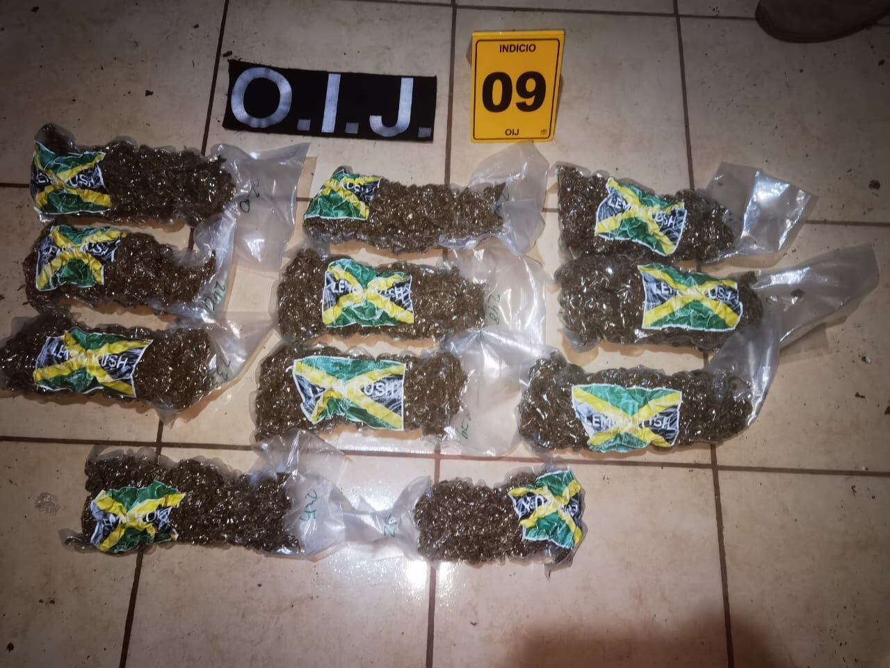 banda bendecidos, sinaí