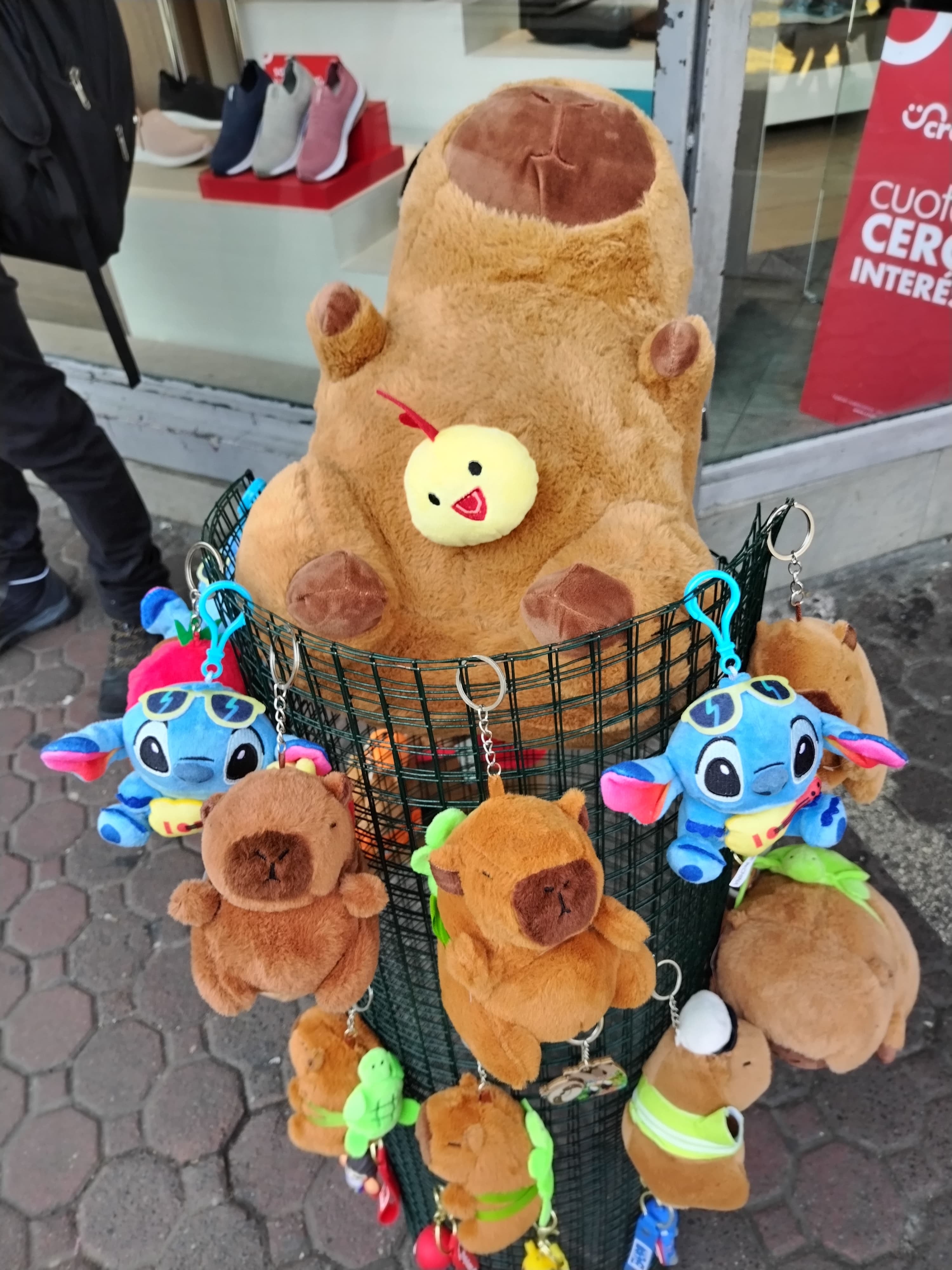 Los peluches de capibara volvieron a ser una locura de ventas en San José centro tras el decomiso de 5 capibaras reales en Orotina. Los vendedores ambulantes lo confirmaron el 27 de mayo del 2025 en un recorrido que realizamos.