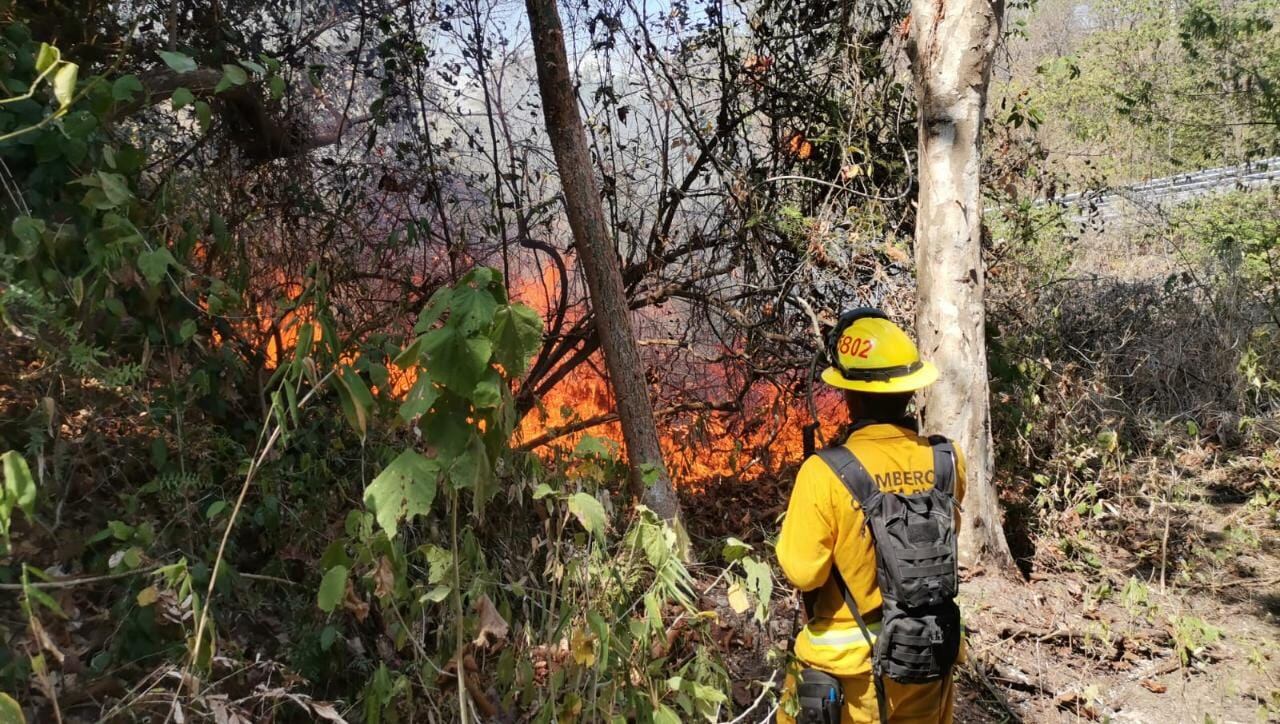 En Pochote de Paquera se desató a mediados de marzo un incendio forestal muy cerca del Refugio de Vida Silvestre Curú. Foto: Abraham Reyes.