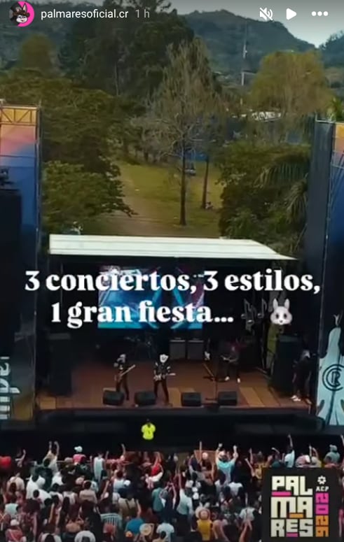 Fiestas Palmares 2026