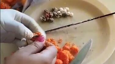 Policía penitenciaria decomisa 86 bolitas de queso que venía con sorpresa