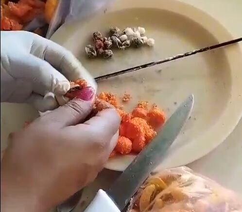 Las bolitas de queso contenían cocaína y marihuana. Foto Ministerio de Justicia.