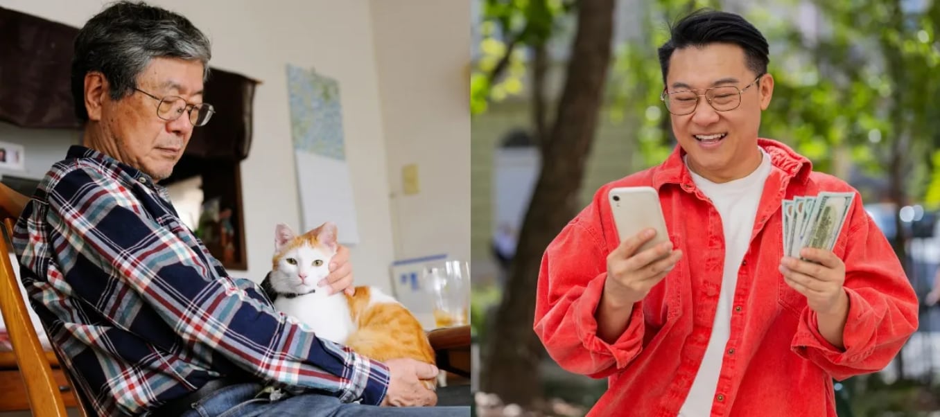 El hombre busca a una persona para que asuma el cuido de su gato por el resto de su vida.