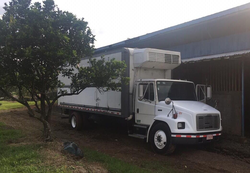 Detienen a tres sujetos sospechosos de robar camión cargado de pollo en Alajuela. Foto MSP.