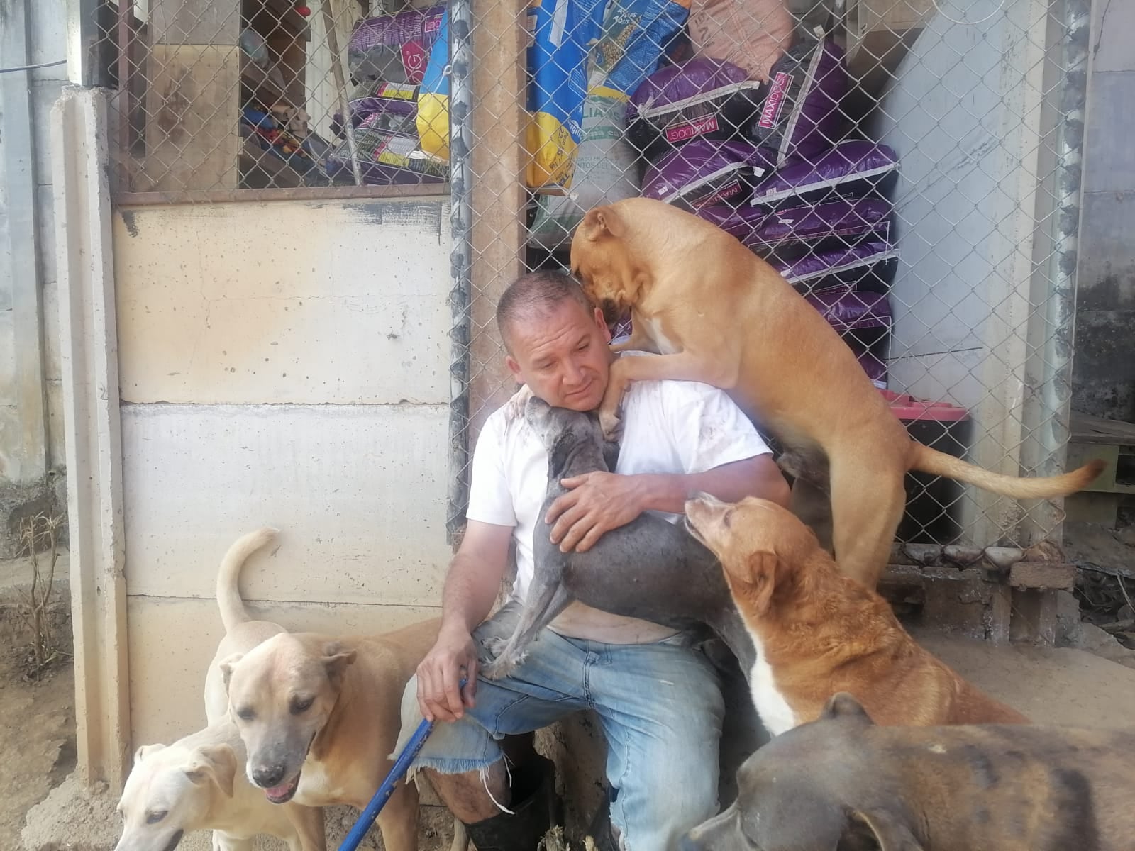 El sacerdote Alejandro Sandí tiene un refugio con 62 perros rescatados de la calle