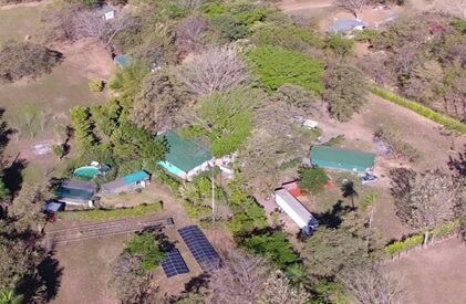 Allanamiento PCD por cultivo de marihuana en Guanacaste. Foto MSP.