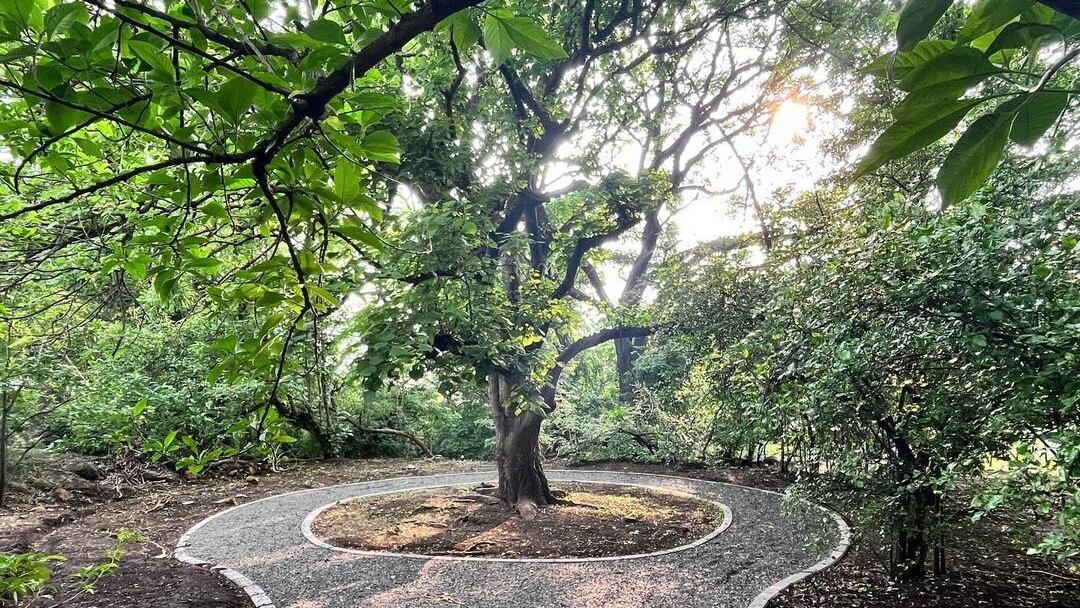 La actividad tendrá lugar el próximo sábado 22 de junio a partir de las 8 a.m.