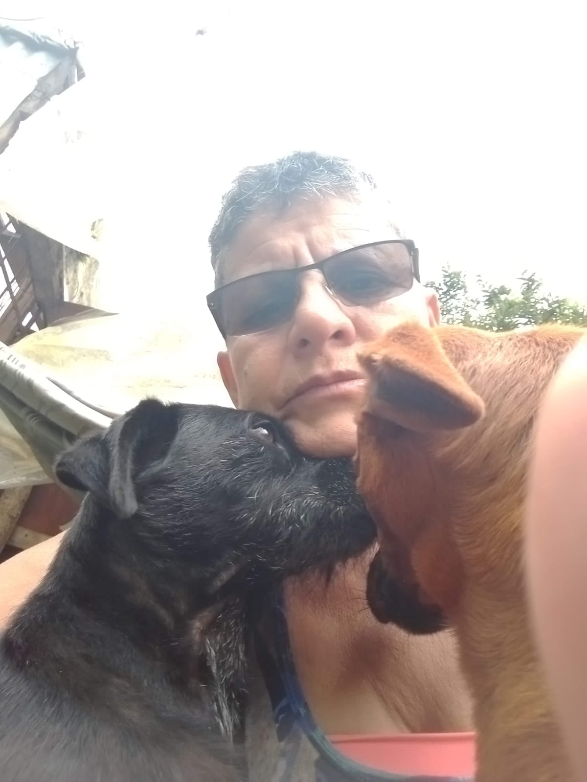 Gerardina Segura cuida actualmente a más de 40 perros rescatados en Cartago.