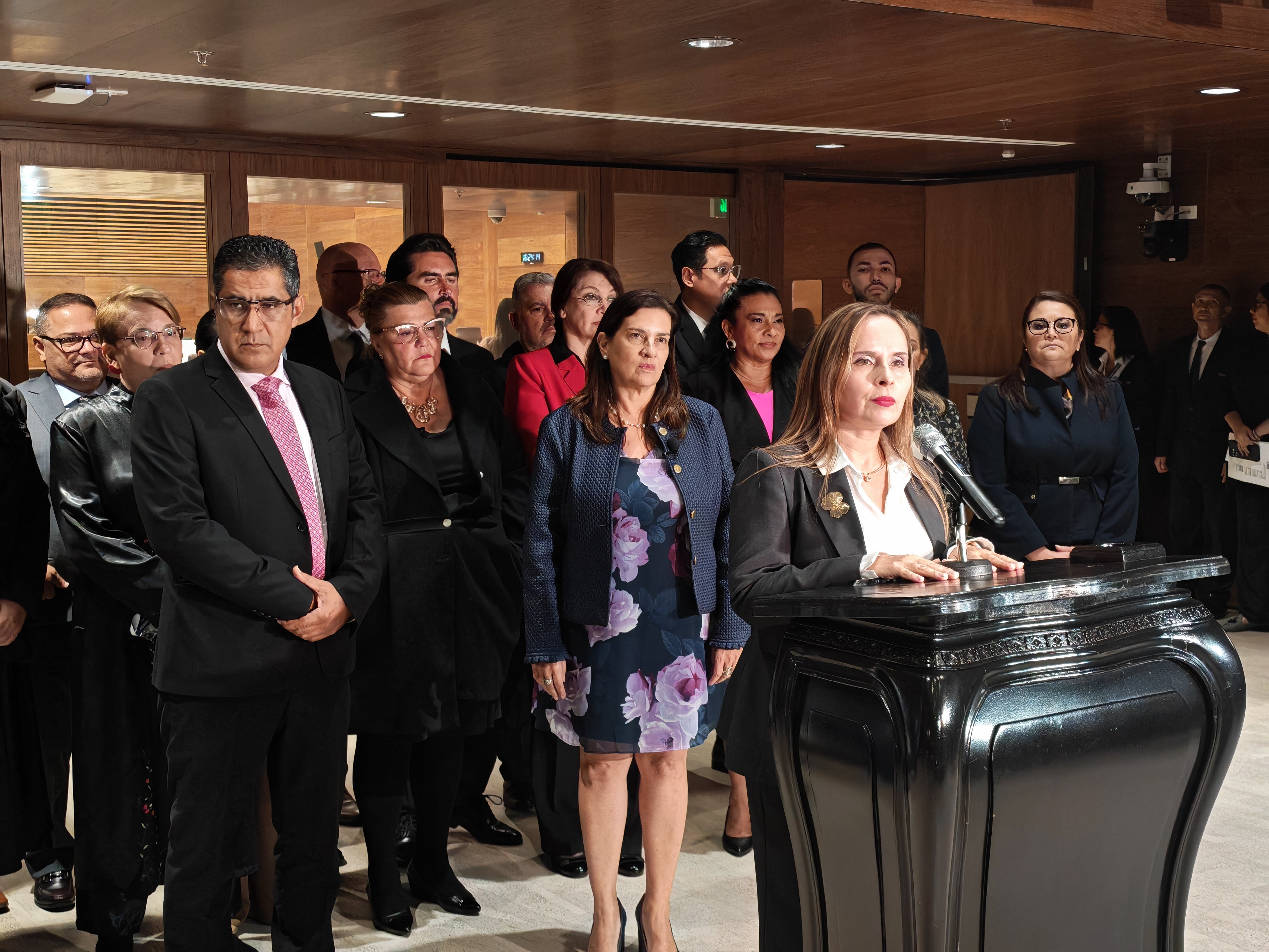 diputados plenario asamblea lobby