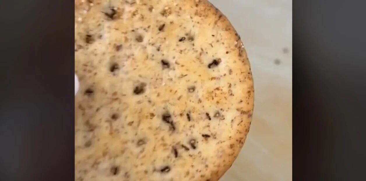 Foto: captura/TikTok @brennaj77.