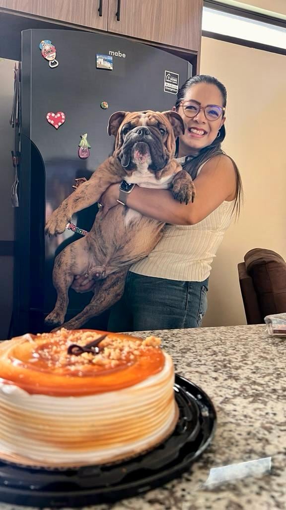 Cuando Rebeca Valverde Coronado vio por primera vez a Theo, su corazón se derritió. Aquel cachorrito bulldog inglés de apenas mes y medio de nacido llegó envuelto en un lazo de amor: fue el regalo de Navidad que su esposo, Guillermo Sánchez, le dio para cumplirle un sueño que tenía desde niña.