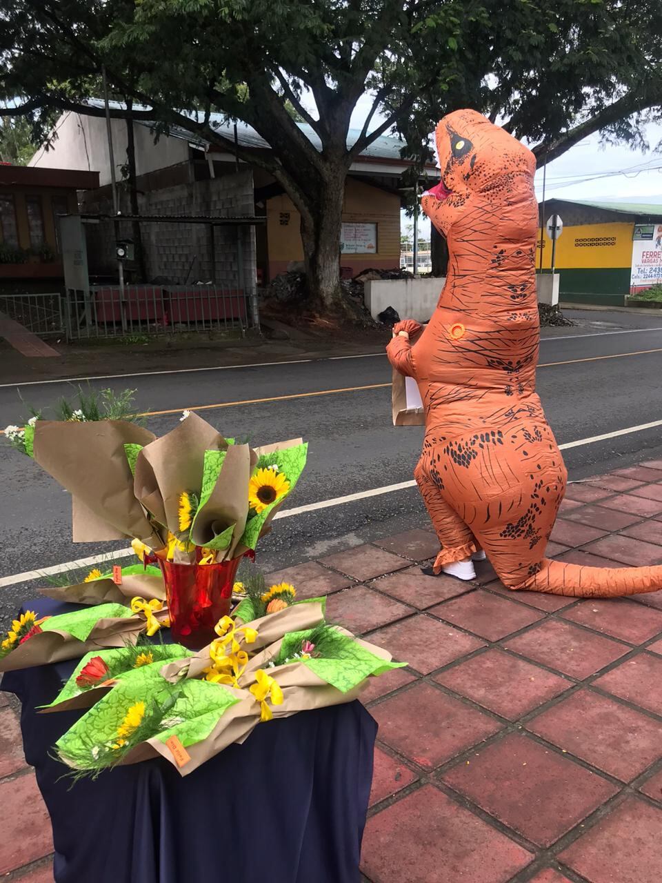 De vender flores en la calle dentro de un traje de T-Rex en 2020 a inaugurar una tienda física, T-Rex Tienda de Dinosaurios, especializada en dinosaurios: la historia de superación de una maestra de preescolar Wendy Arauz Madrigal