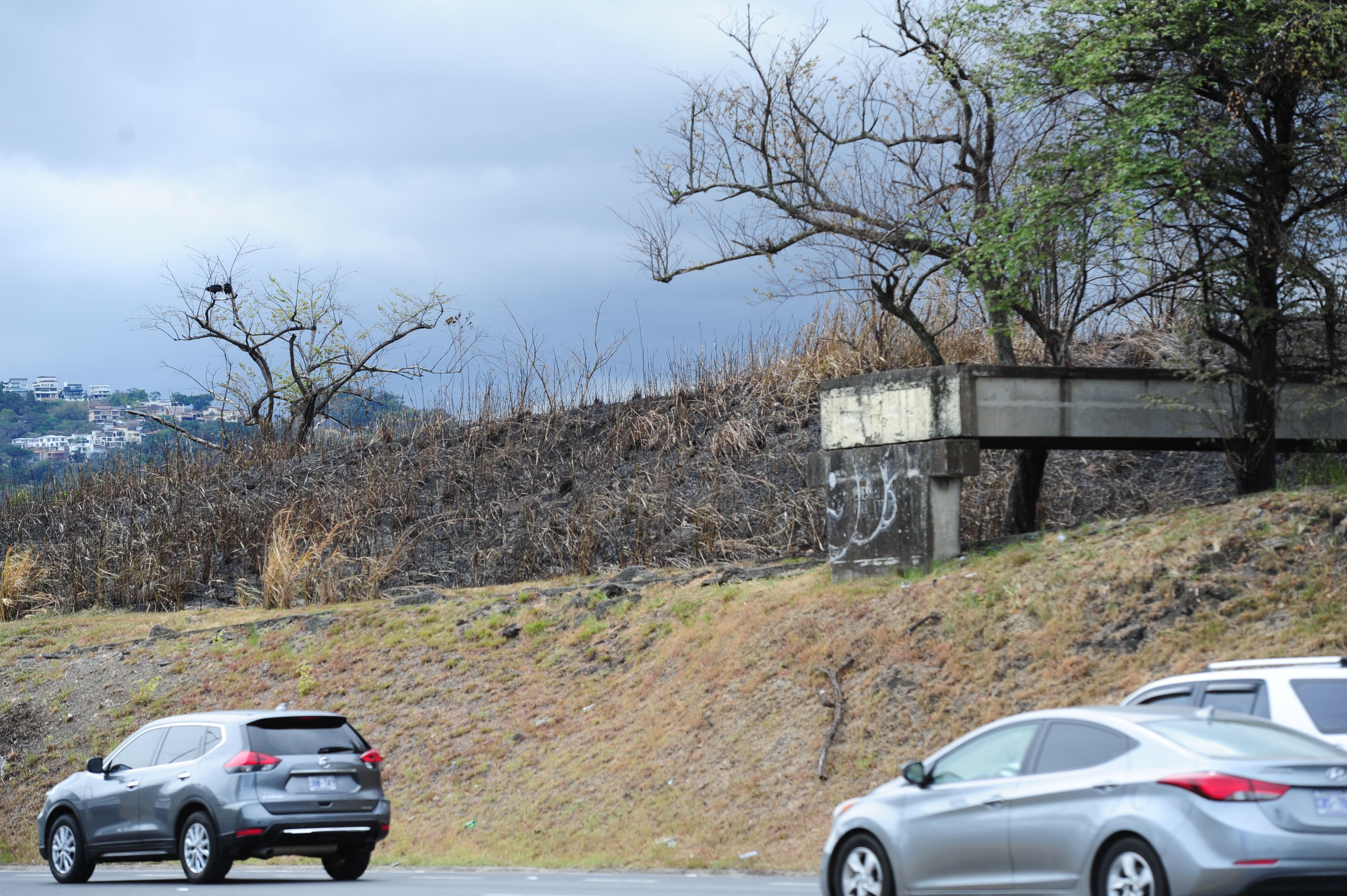 Incendio Parque natural urbano Lorne Ross