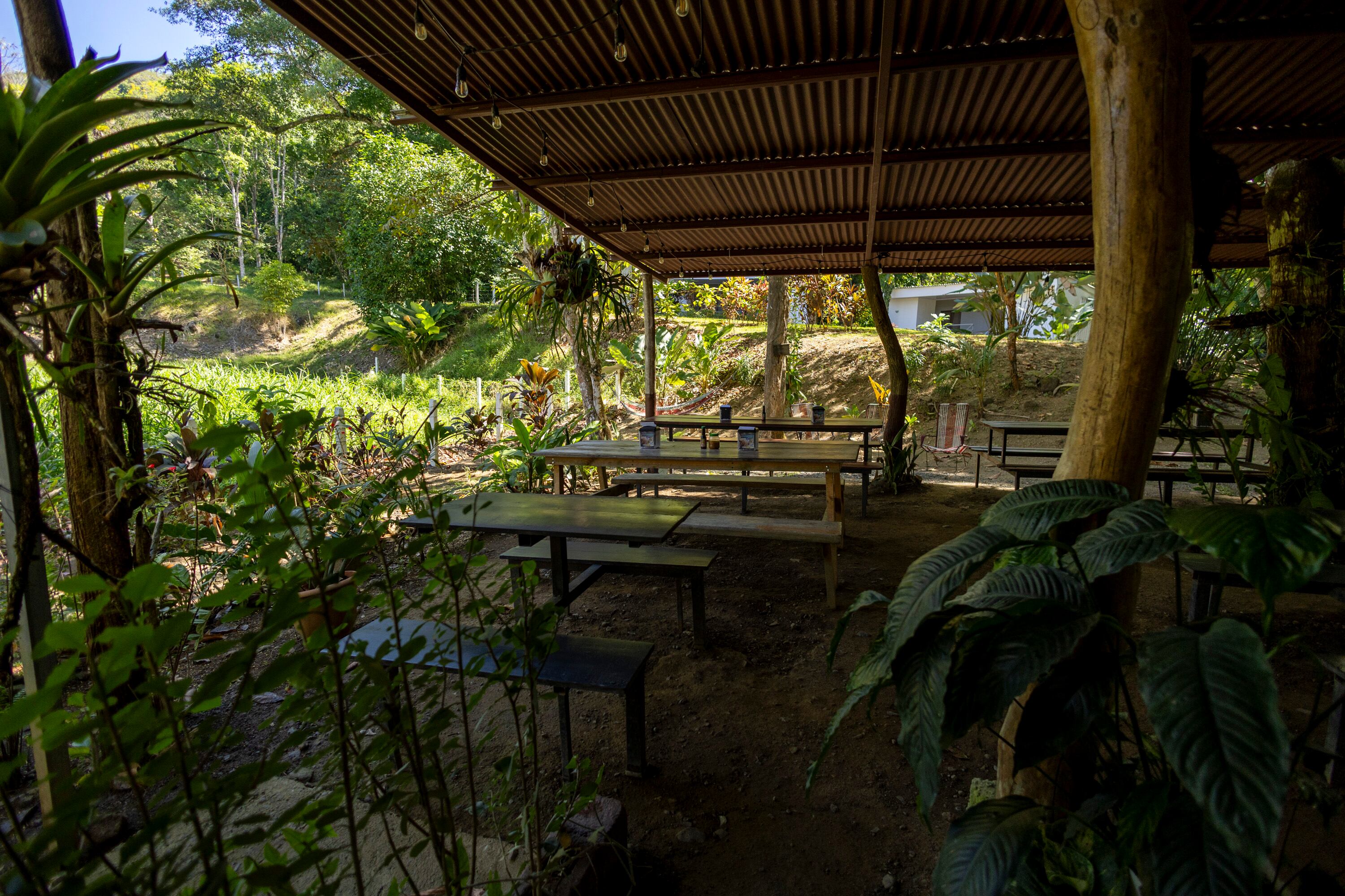 MATERIAL EXCLUSIVO DE LA TEJA.
27/02/2024, Puntarenas, Jacó y Quepos, recorrido por Carara Adventure Park y la Marina Pez Vela, para ver las atracciones que ofrecen al turismo nacional y extranjero.