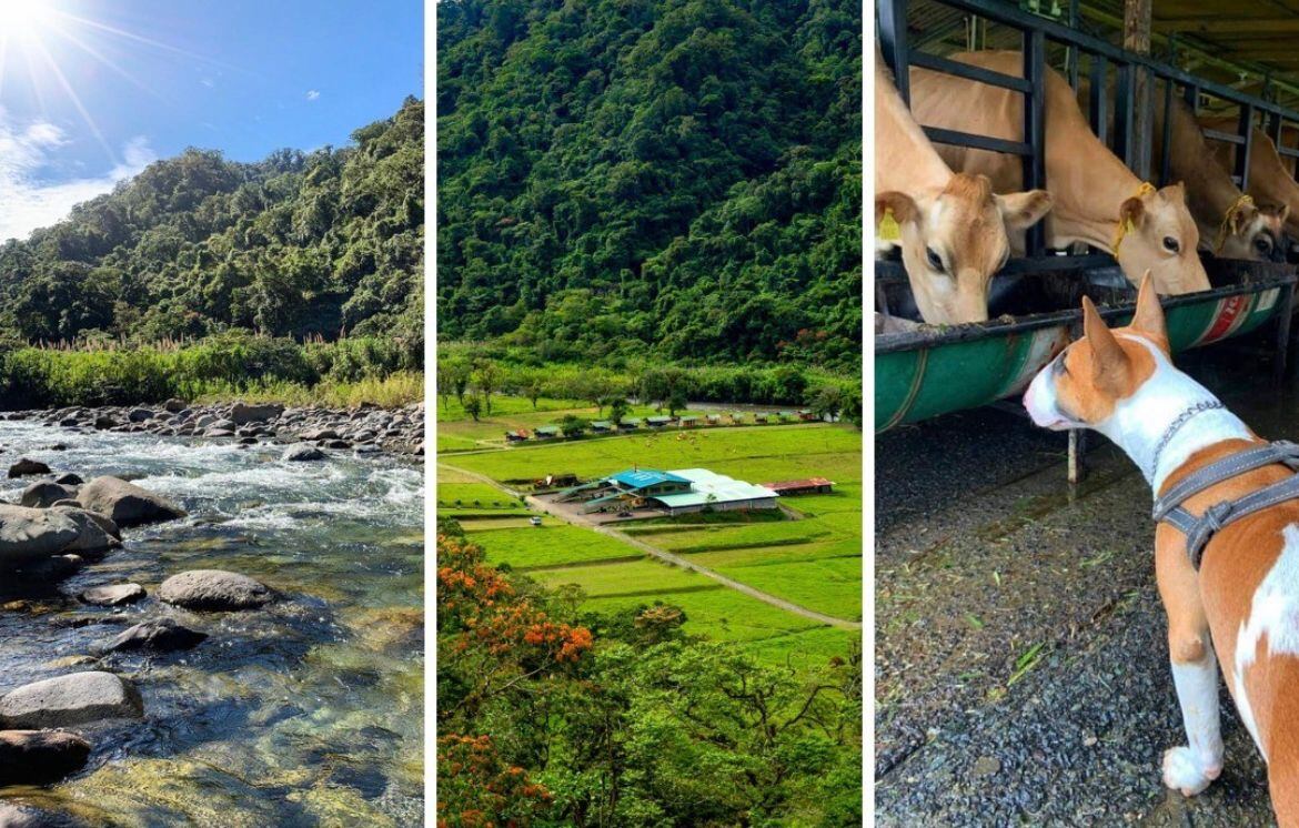 La hacienda ganadera, que se inauguró en el 2019, permite el ingreso de mascotas a sus instalaciones.