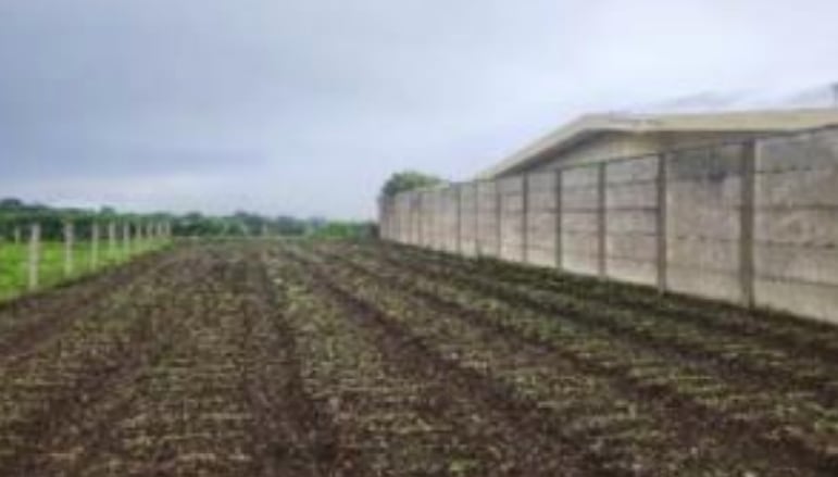 Este terreno en Oreamuno puede ser suyo por un precio de ganga.