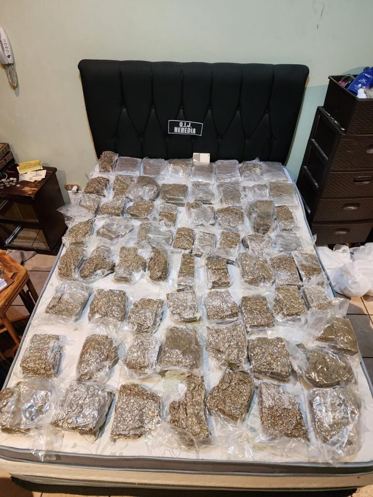 Las autoridades decomisaron granadas, armas de guerra y droga a una banda. Foto: OIJ