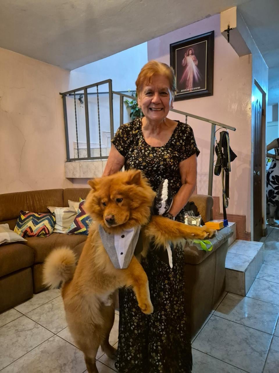 En una casa de Calle Blancos hay un miembro de la familia que no habla, pero dice muchísimo. Se llama Maximiliano, aunque todos lo conocen como Max, y es un Chow chow y la mamá humana se llama Hazel Zúñiga.