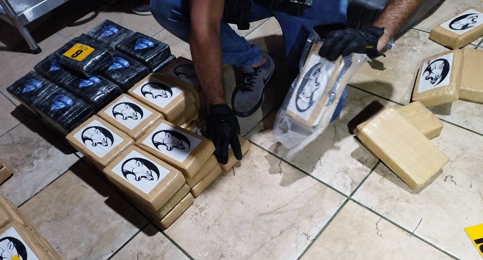 Evidencia recabada durante la diligencia de las autoridades. Fotografía: