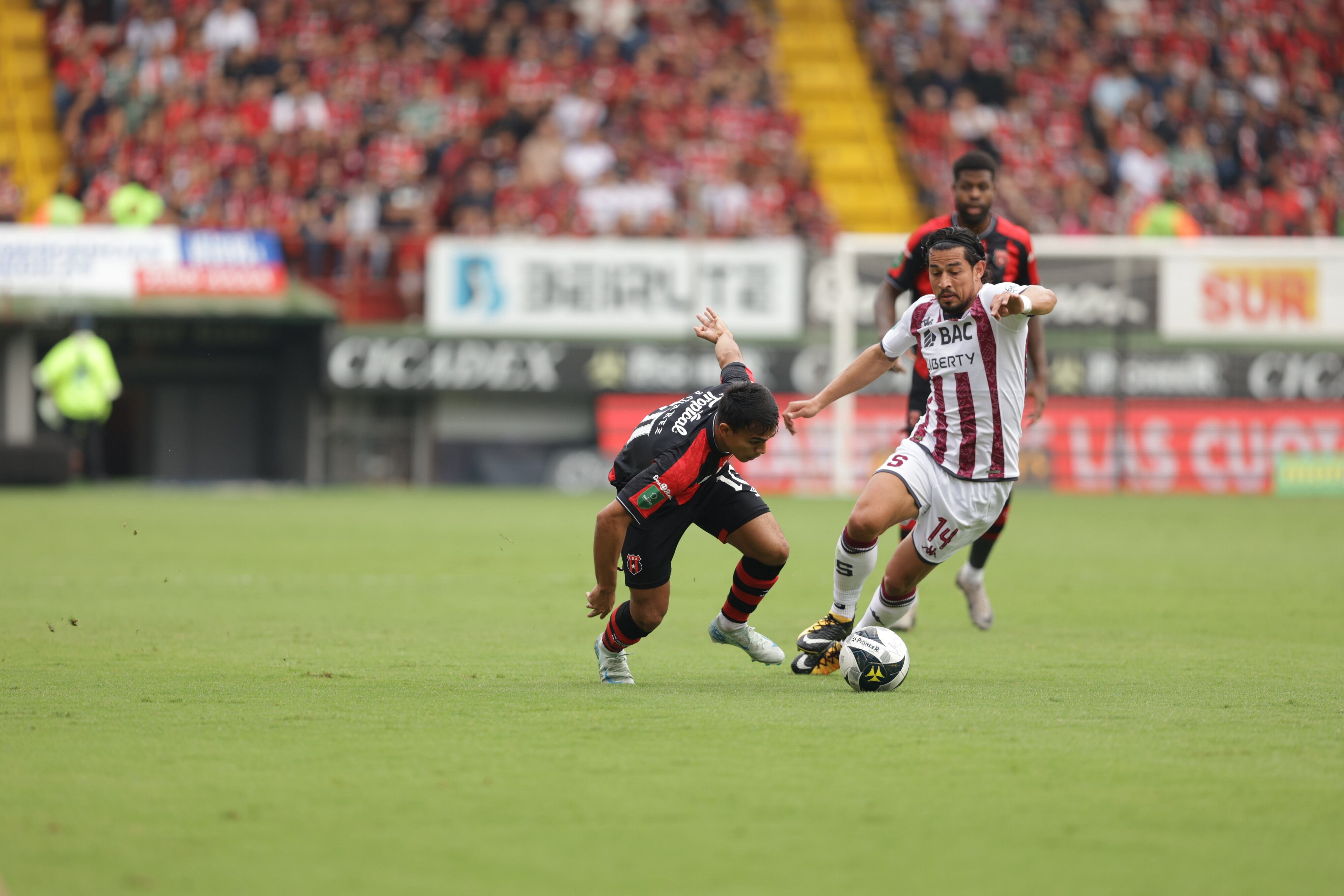 01/09/2024, Alajuela, Estadio Alejandro Morera Soto, partido de la jornada 8 del torneo de clausura 2024 entre la Liga Deportiva Alajuelense y el Deportivo Saprissa.
