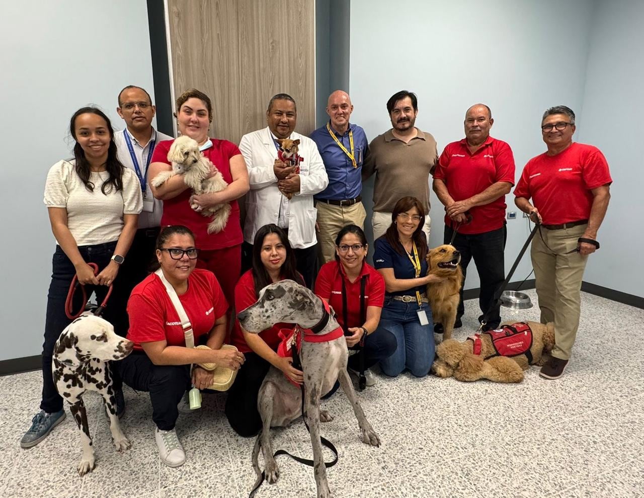 Terapia con perros en el hospital Monseñor Sanabria, en Puntarenas