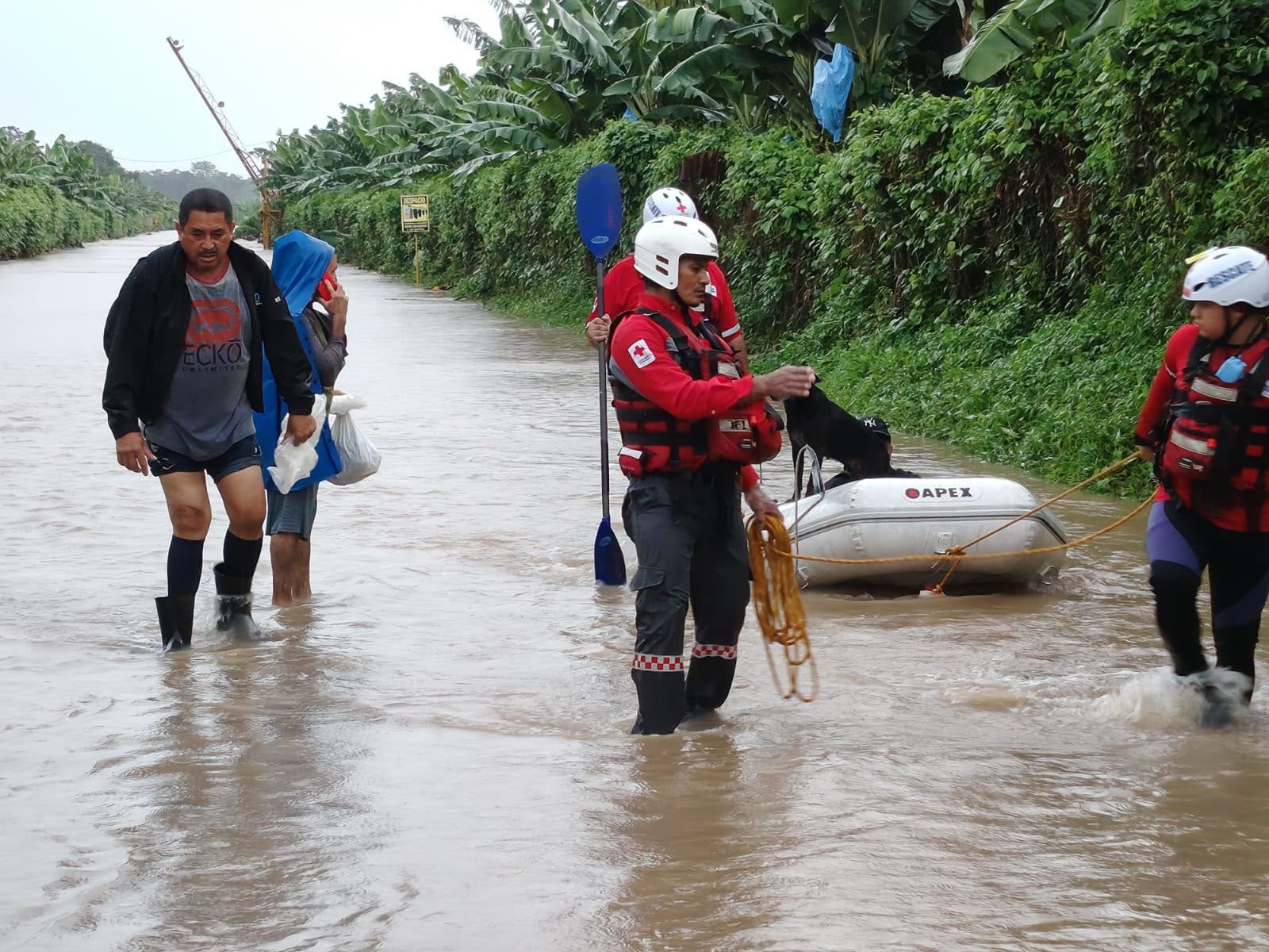 Rescate de damnificados por inundaciones en Matina. Foto CRC.