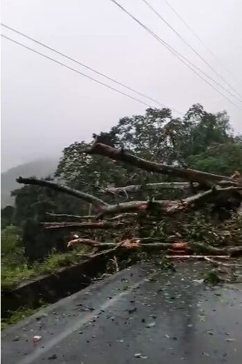 Bus es arrastrado por deslizamiento a guindo en Cambronero, San Ramón. Foto cortesía.