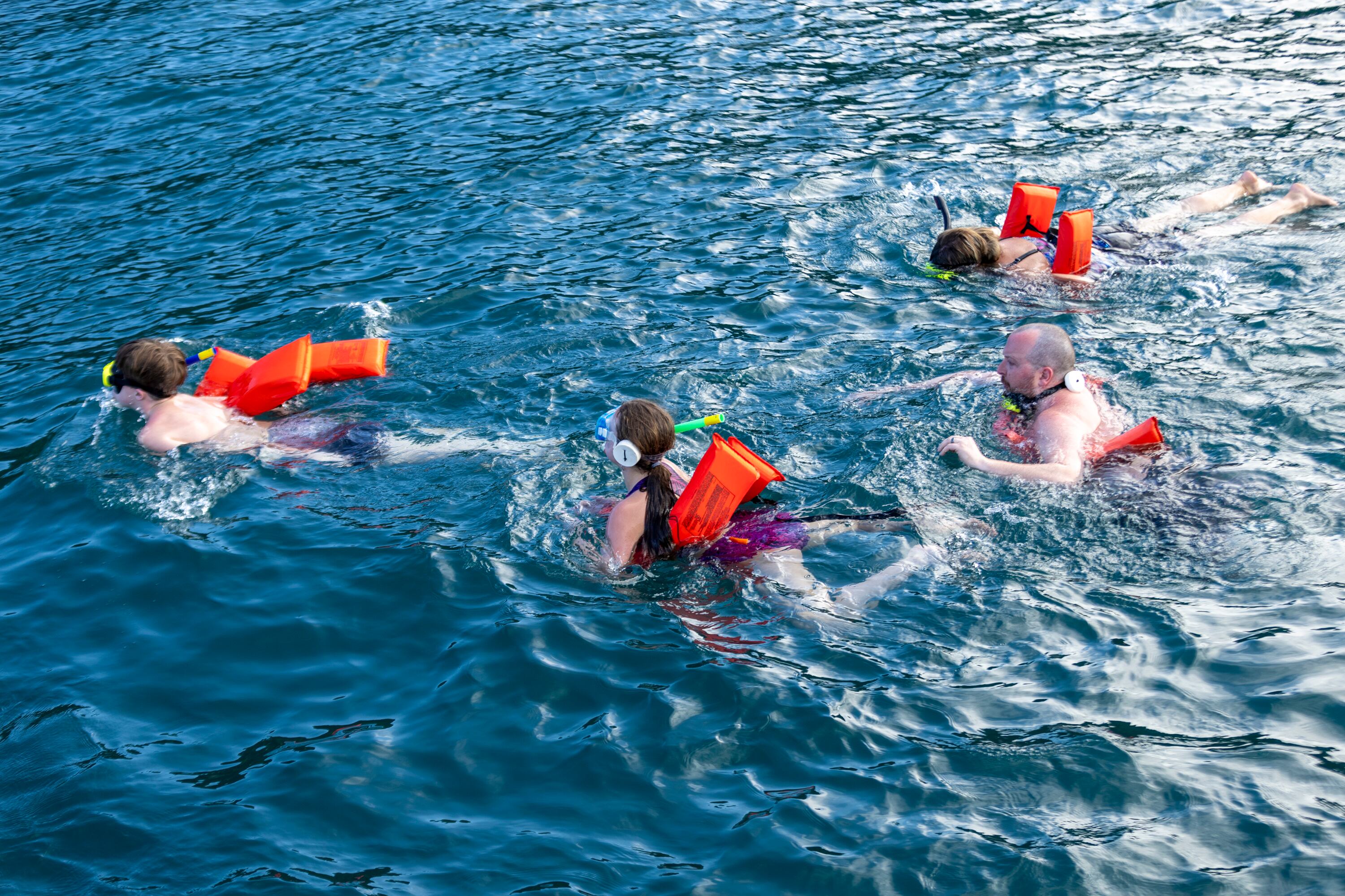 MATERIAL EXCLUSIVO DE LA TEJA.
27/02/2024, Puntarenas, Jacó y Quepos, recorrido por Carara Adventure Park y la Marina Pez Vela, para ver las atracciones que ofrecen al turismo nacional y extranjero.