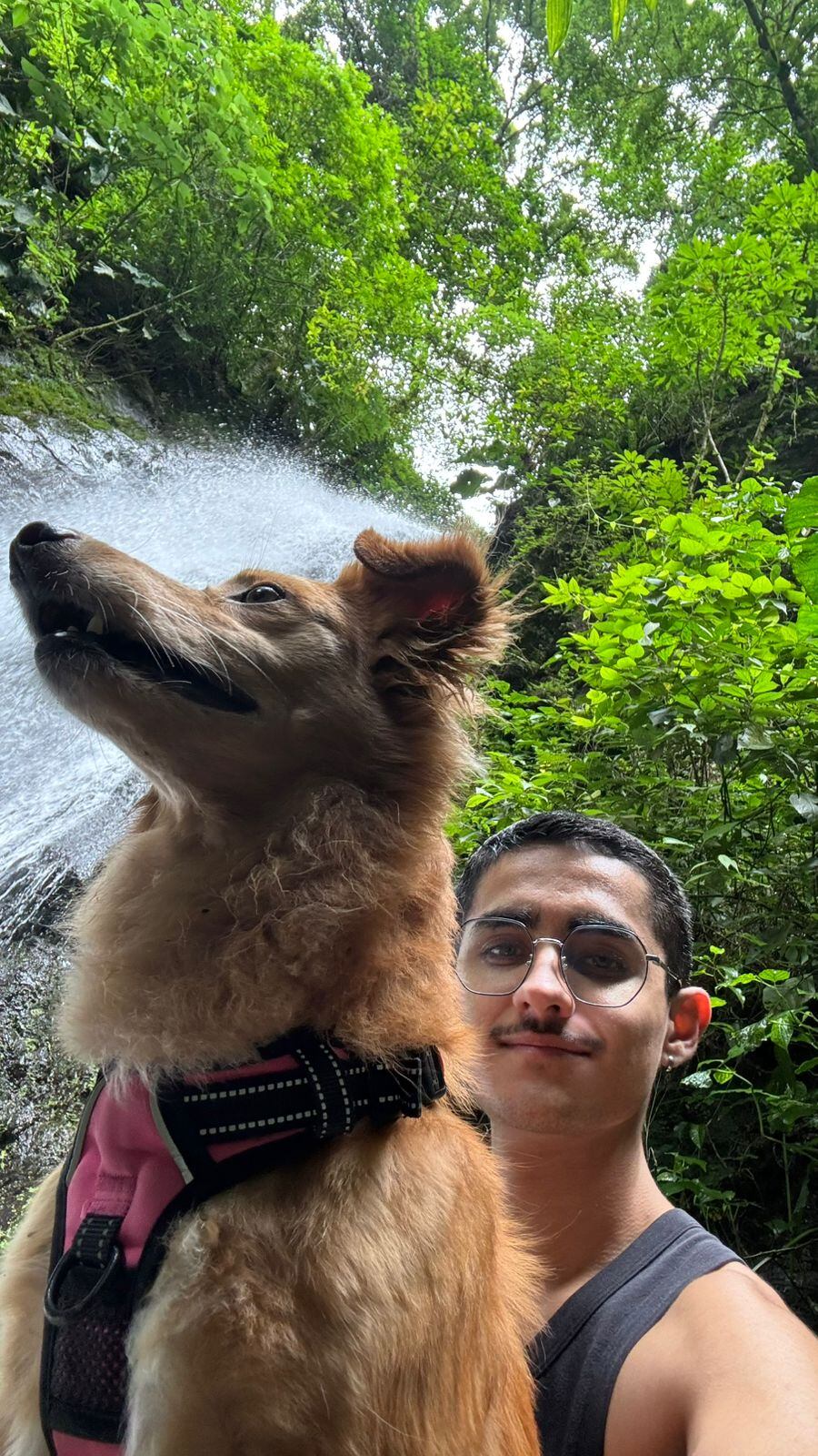 David Rodríguez García, vecino de Purral de Goicoechea, tiene 20 años y asegura que su vida cambió para siempre gracias a una zaguatica, Bendi, que llegó justo cuando más la necesitaba.