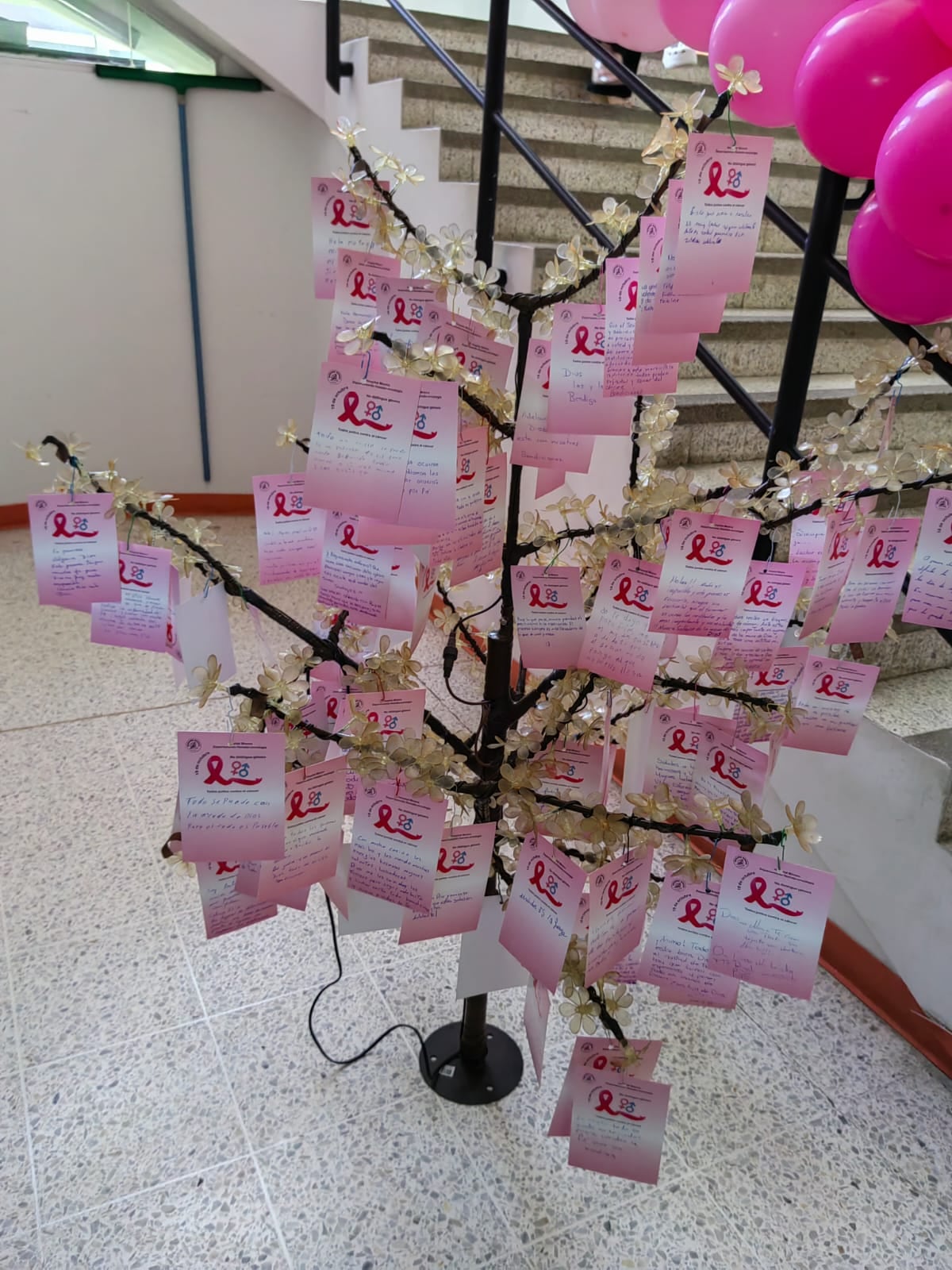 El Hospital México celebró el 19 de octubre del 2022, en la sección de quimioterapia, el Día Mundial de la Lucha contra el Cáncer de Mama